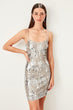 Silver Sequined Dress