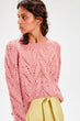 Color Rose Mesh Sweater