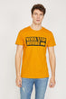Male Gray Short Sleeve Cycling Neck T Shirt