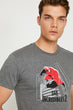 Male Gray Short Sleeve Cycling Neck T Shirt