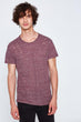 Male Maroon T-Shirt