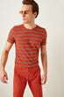 Tile Male Striped Cycling Neck T Shirt