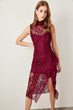 Ruffle Detail Lace Dress