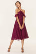 Detailed Plum Ruffle Lace Dress