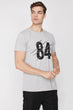 Male Gray Printed T Shirt