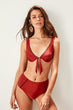 Cinnamon High Waist Bikini