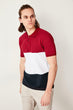 Burgundy Men Paneled Polo Collar T-Shirt