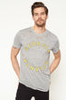 Male Gray T-Shirt