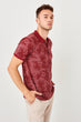 Burgundy New Men Printed New Polo Collar T-Shirt