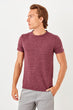 Burgundy Men 'S Short Sleeve Cycling Neck New T-shirt TMNSS19TS0439