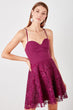 Plum Red Lace Skirted Dress