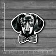 Dog Laptop/ Notebook Sticker [Single]