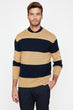 Male Coffee Striped Sweater