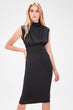 Black Sheer Neckline Dress