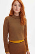 Women Short Knitted Casual Sweater