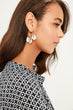 Sea Conch Earrings