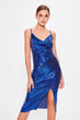 Sequin Slip Dress