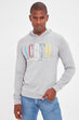 Gray Men 'S Hooded Long Sleeve Printed Thin Fabric New Sweatshirt