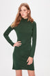 Green Colar Button Detail Sweater Dress