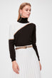 Turtleneck Colorblock Sweater Sweater