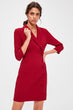 Burgundy Double Breasted Collar Dress