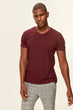 Bordeaux Men's T-Shirt Presser - Cotton V Neck TMNSS19BO0002