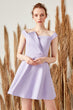 Lilac Collar Detail Dress