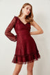 Bordeaux Lace Detail Dress