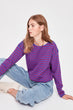 Purple Bike Collar Striped Sweater