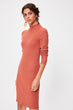 Cinnamon Upright Collar Knitted Dress