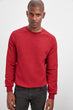 Textured Bike Collar Sweater New