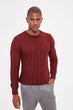 Burgundy Men Textured Sweater