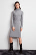 Turtleneck Knitted Dress