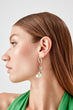 Sea Conch Earrings