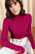 Women Sheer Neckline Soft Textured Sweater
