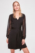 Black Sheer Neckline Dress