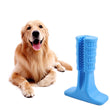 Dog Toothbrush Chew Toy